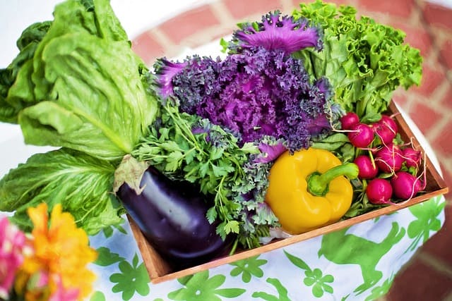 Gemüse und Krebs