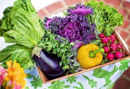 Gemüse und Krebs